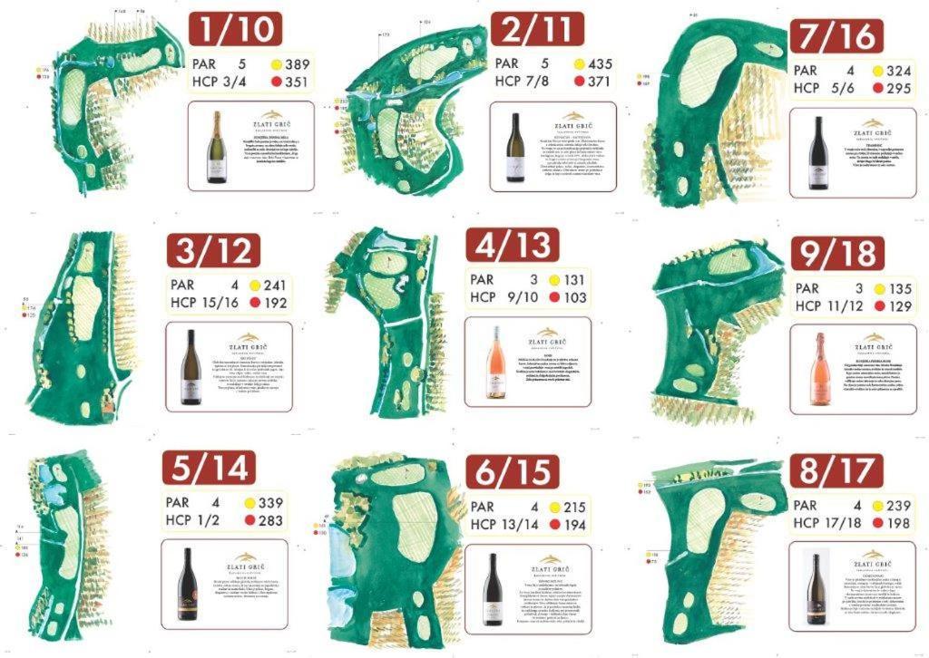 兹拉提格力科葡萄酒大厦酒店 斯洛文尼亚科尼采 外观 照片